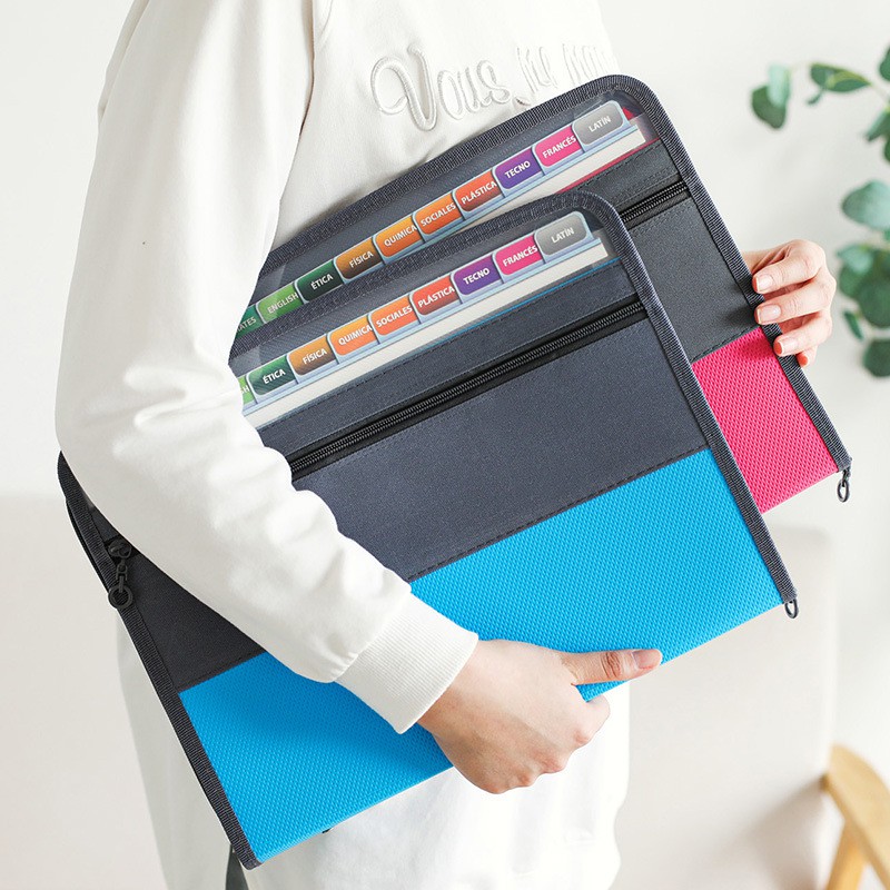 Accordion File Organizer with  - Expandable Accordion File Folder 13 Pockets review and price