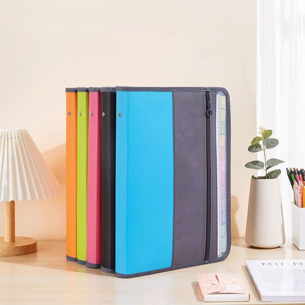 PVC Expanding File Organizer A - Expandable Accordion File Folder 13 Pockets review and price