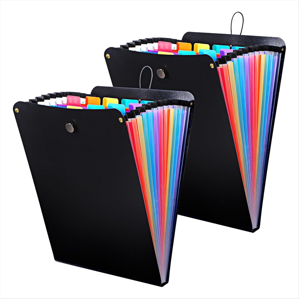 ABPP 2 Pcs Expanding File Fold - Expandable Accordion File Folder 13 Pockets review and price